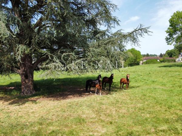 Authentique manoir du XIXe siècle restauré avec dépendances et parc en Sud Manche