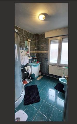 Maison ancienne Lille sud 150 m²