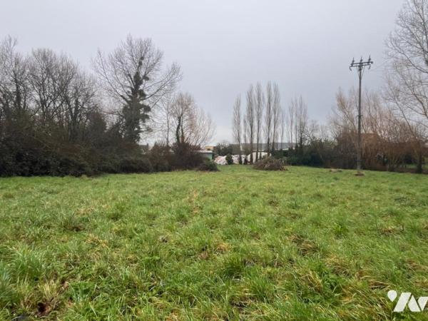LINGREVILLE