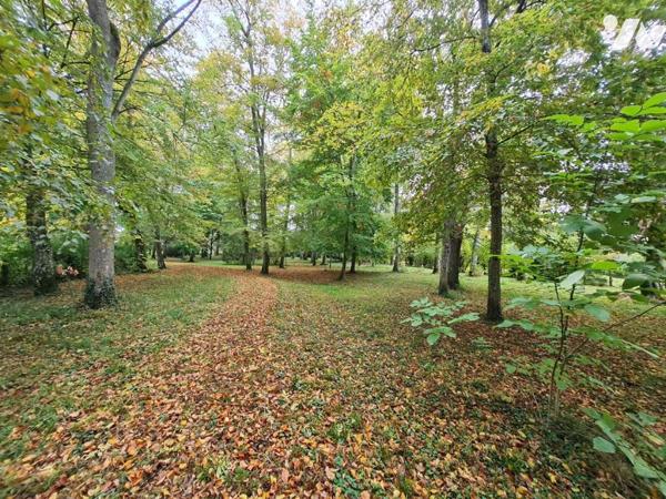 MAISON DE MAITRE - A VENDRE - MONTOIRE/ LOIR( 41800) 