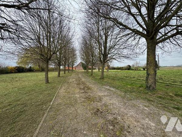 CORPS DE FERME RÉNOVÉ DE 327 M² HABITABLES AVEC NOMBREUSES DÉPENDANCES BÂTI SUR TERRAIN DE 8 00...