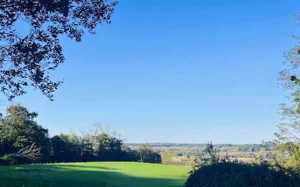 Terrain à vendre    Urt