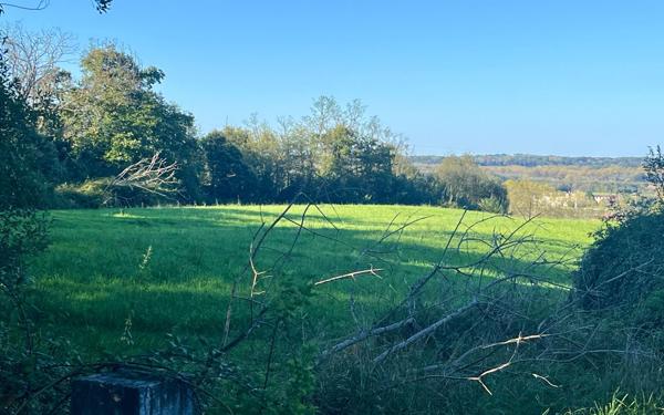 Terrain à vendre    Urt