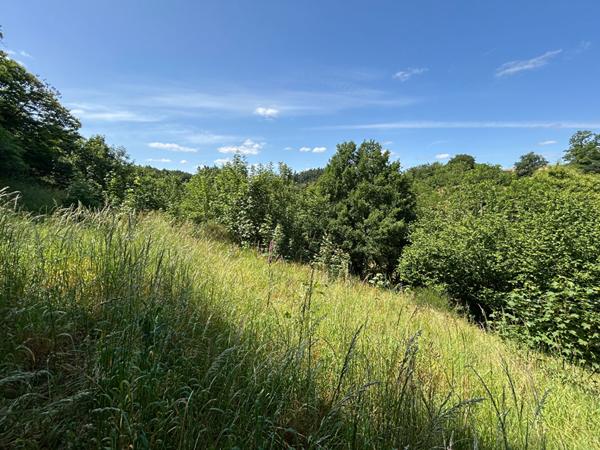 Terrain de loisirs - Chateau-Gontier-sur-Mayenne