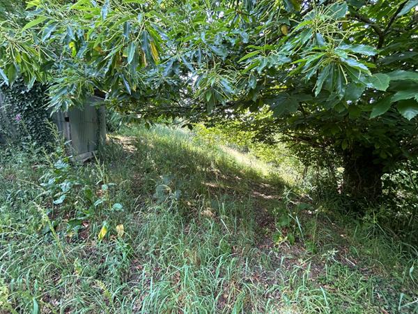 Terrain de loisirs - Chateau-Gontier-sur-Mayenne