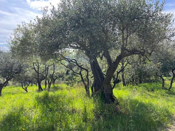 Maison 3 pièces - 75 m²