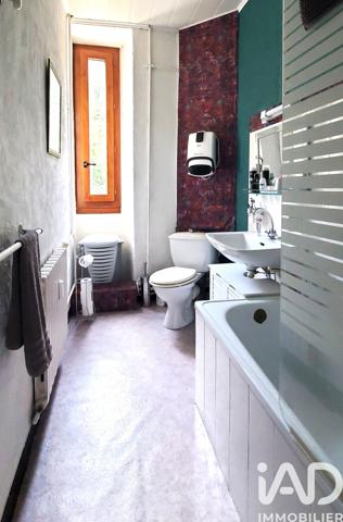 Maison à vendre 13 pièces 293 m² Robiac-Rochessadoule