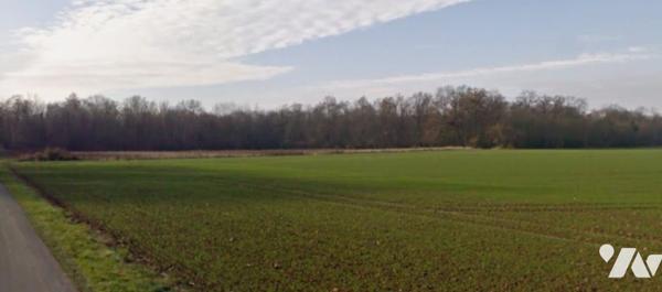 Magnifique bois d'une superficie de 13,4 hectares à seulement 30/45 minutes de Paris