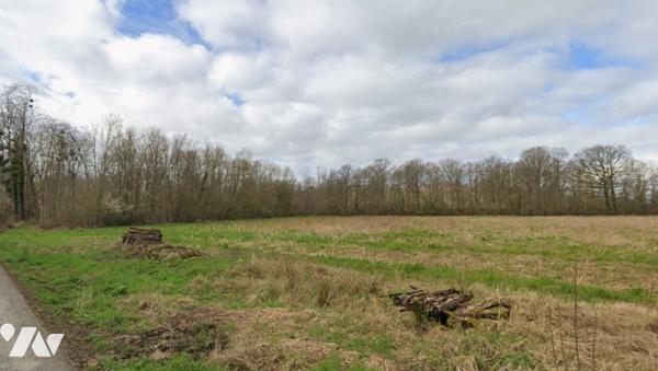Magnifique bois d'une superficie de 13,4 hectares à seulement 30/45 minutes de Paris
