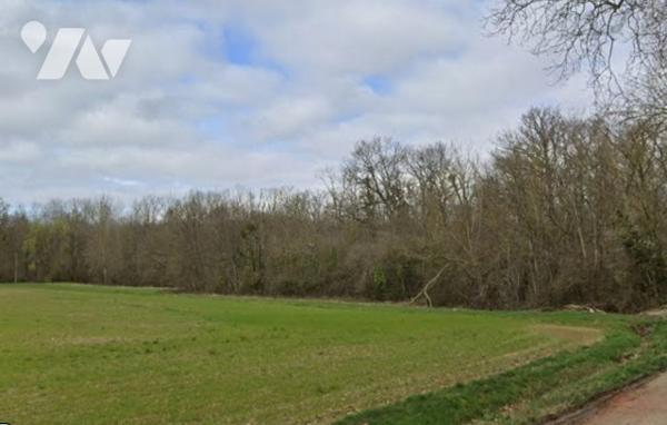 Magnifique bois d'une superficie de 13,4 hectares à seulement 30/45 minutes de Paris