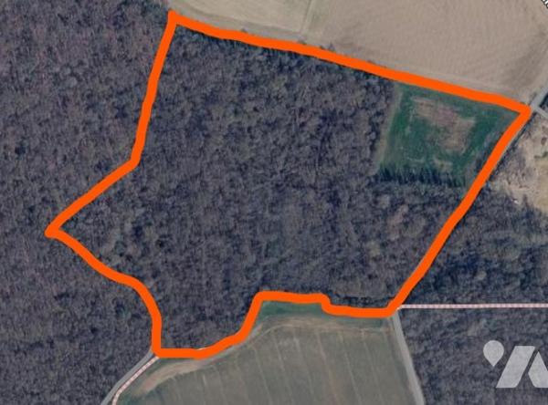 Magnifique bois d'une superficie de 13,4 hectares à seulement 30/45 minutes de Paris