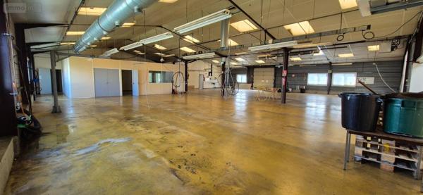 Entrepôt et bureaux à vendre à Cherré-Au dans la Sarthe (72400), ref : 474