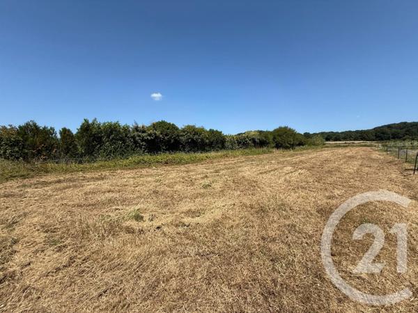 Terrain à vendre  1530 m2 MOULEDOUS - 65