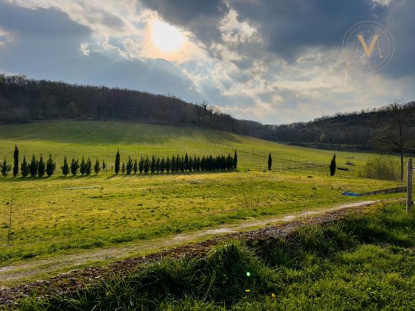 Domaine équestre de prestige au cœur de 18 hectares – Élégance, nature et art de vivre proche de THEZAC (47)