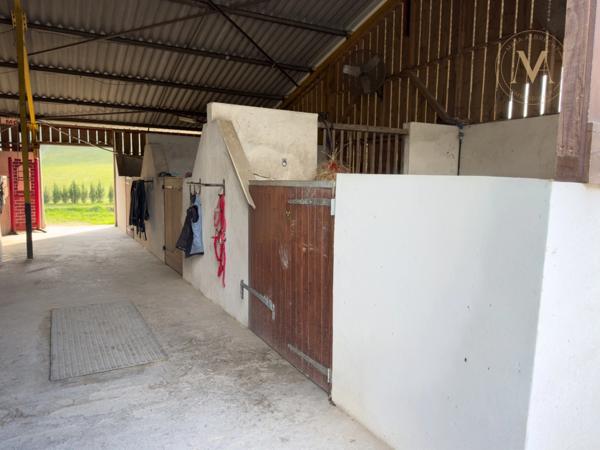 Domaine équestre de prestige au cœur de 18 hectares – Élégance, nature et art de vivre proche de THEZAC (47)