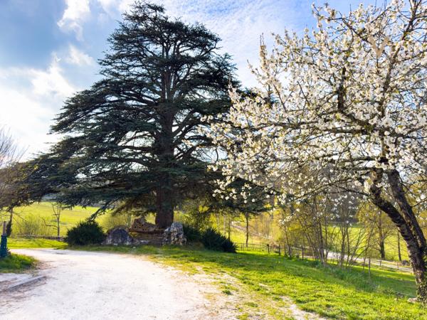 Domaine équestre de prestige au cœur de 18 hectares – Élégance, nature et art de vivre proche de THEZAC (47)