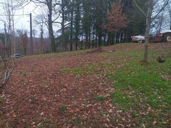 Terrain à vendre |  Naves |  784 m²