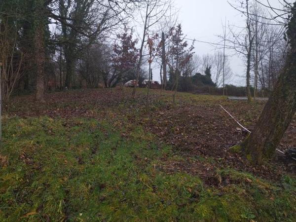 Terrain à vendre |  Naves |  784 m²