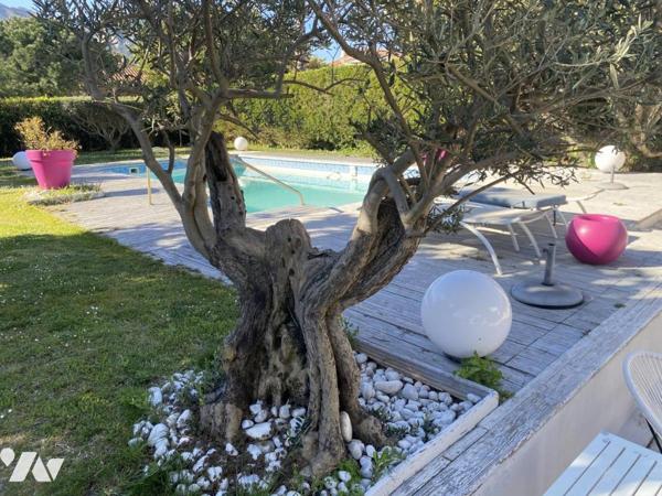 Maison vue mer sur 1200 m² de terrain clos avec garage double et piscine.