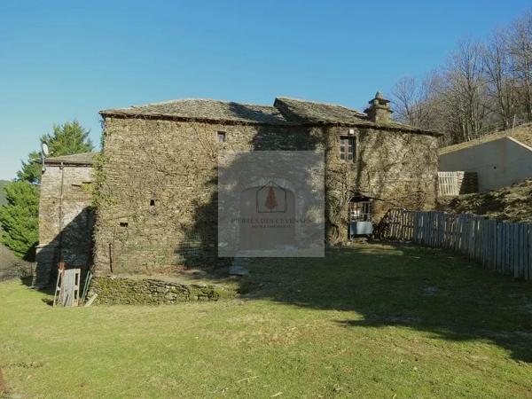 Domaine, Mas Cévenol