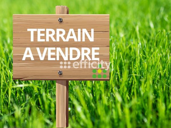 Terrain
        
        - 669 m² 97 000 € *