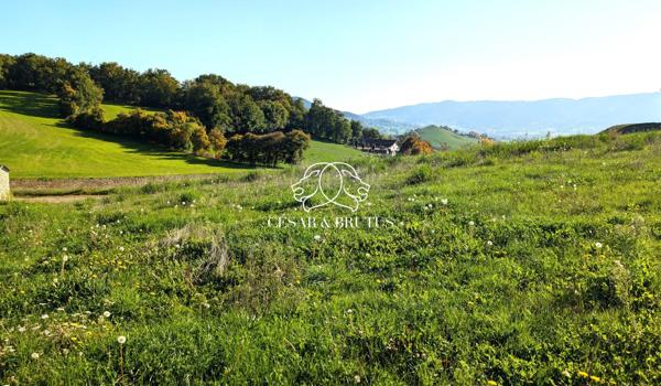 TERRAIN CONSTRUCTIBLE à Viabiliser
