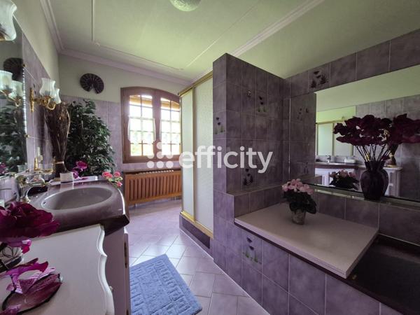 Maison 8 pièces - 207 m²