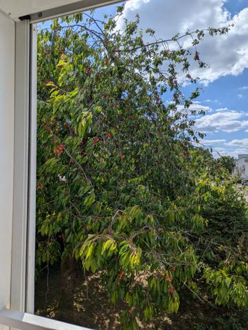 Profitez d'un cadre de vie agréable, sans vis-à-vis, Maison à vendre à Combs la Ville -