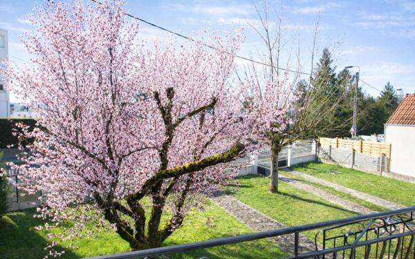 Maison à vendre    3 pièces •  Saran