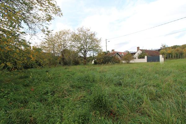 Terrain Mont Pres Chambord 1842 m2