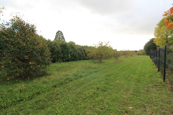 Terrain Mont Pres Chambord 1842 m2