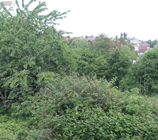 Achat - Maison | Maison Saint-Silvain-Bas-le-Roc 23600 5 pièces 70 m 2 1163 m 2
