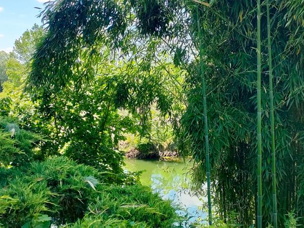 Besançon (25000) Maison d'architecte avec plage privée sur l'ognon