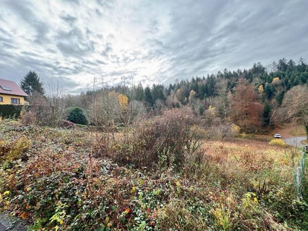 Solbach - terrain de 21,36 ares
