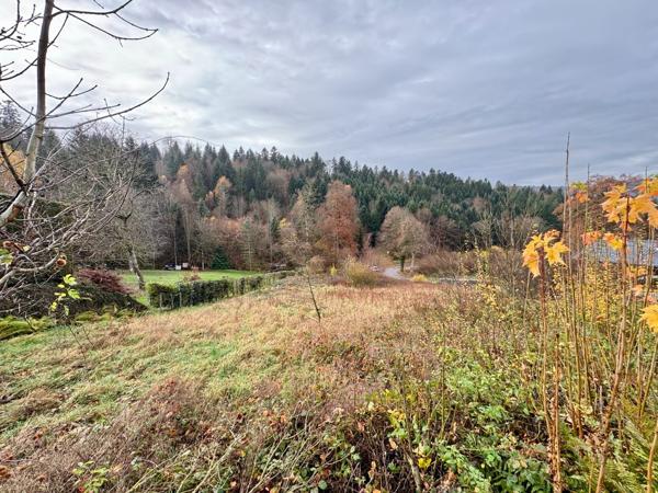 Solbach - terrain de 21,36 ares