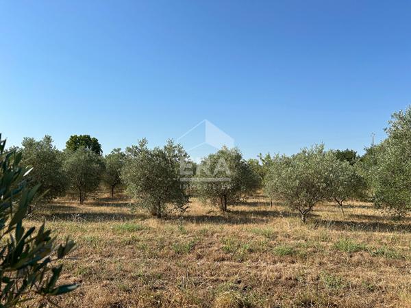 Maison Carpentras 7 pièces - 5 chambres - 214m² - Garages - Jardin