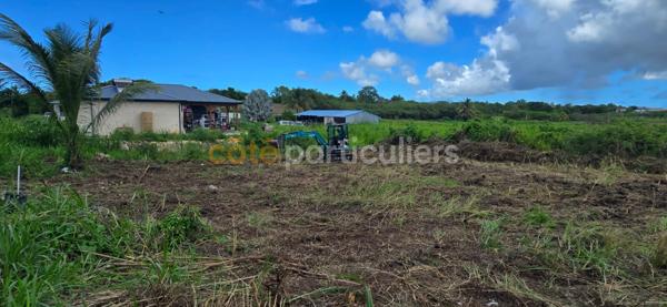 Vente Terrain534 m² - LE MOULE (97160)