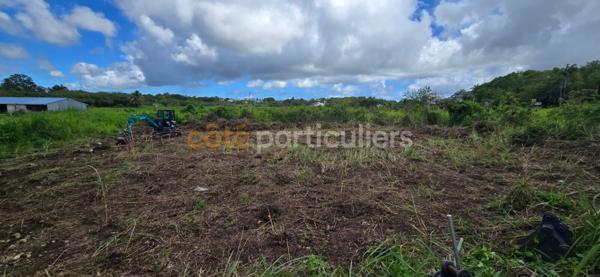 Vente Terrain534 m² - LE MOULE (97160)