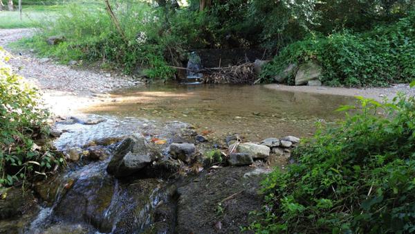 Maison à AIGUEFONDE, 81200 - 11 pièces 253m²