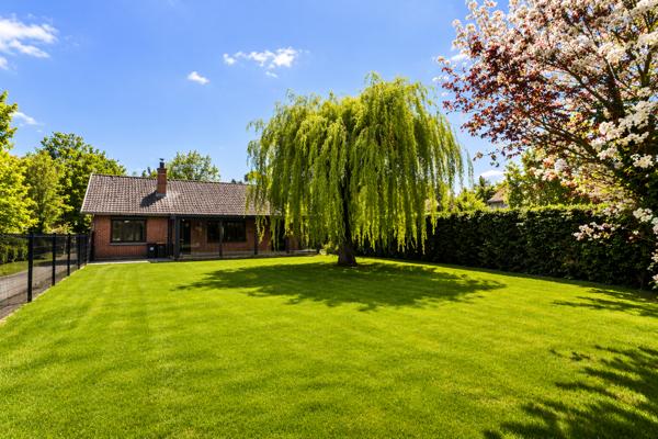 Fleurbaix (62840) RARE - Plain pied 100m² - 3 chambres - jardin 650m²