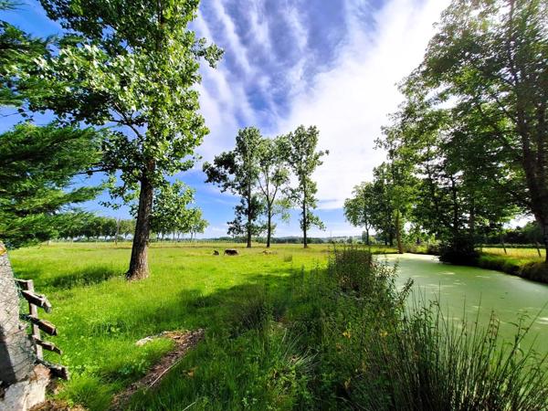 Corps de ferme à aménager avec dépendances et plus de 7 000 m² de terrain  Plaisance-du-Gers