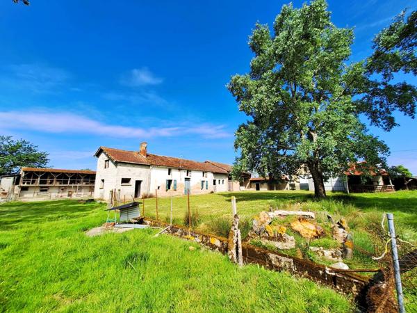 Corps de ferme à aménager avec dépendances et plus de 7 000 m² de terrain  Plaisance-du-Gers