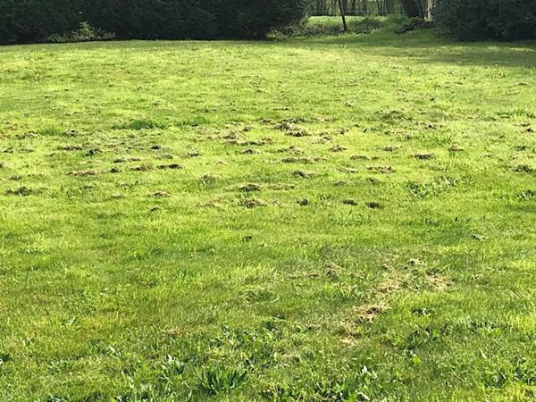 Terrain constructible de 495 m²