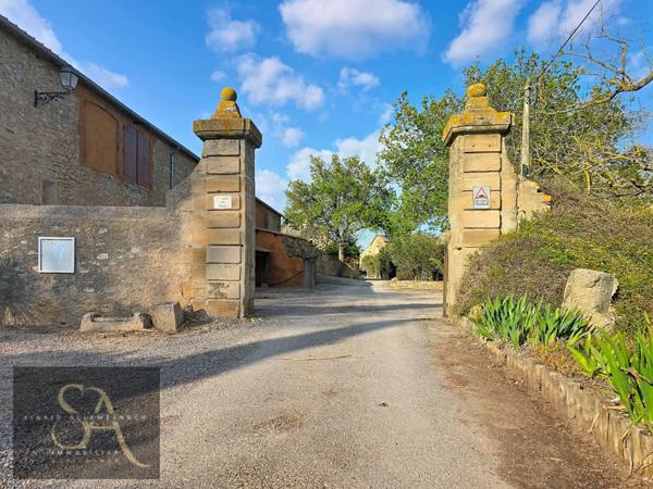 Domaine viticole de caractère – 55 ha – Proche Méditerranée entre Narbonne et Carcassonne
