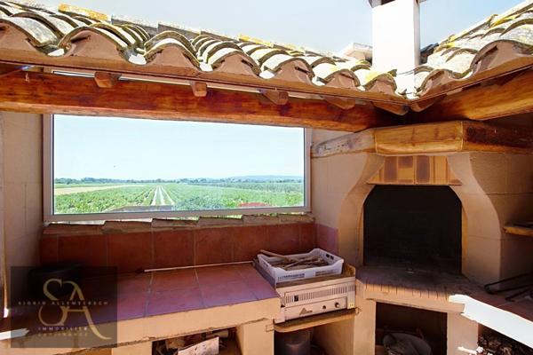 Domaine viticole de caractère – 55 ha – Proche Méditerranée entre Narbonne et Carcassonne