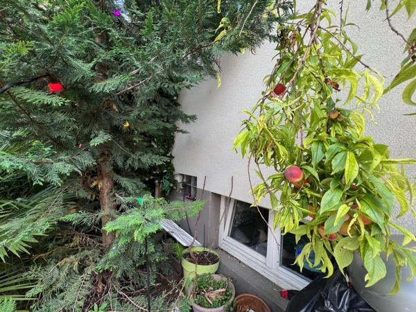Bagnolet (93170) Mairie des Lilas - Maison de charme avec terrasse et 2 studios indépendants