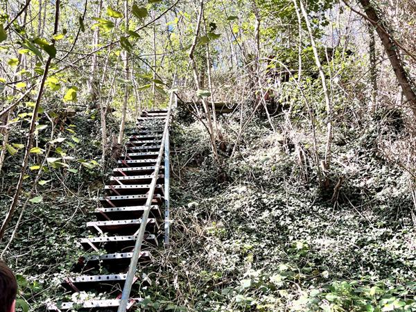 Maison a rénover a Tarare