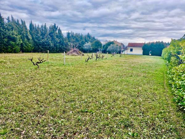 Jonquières (84150) Maison plain pied avec grand terrain