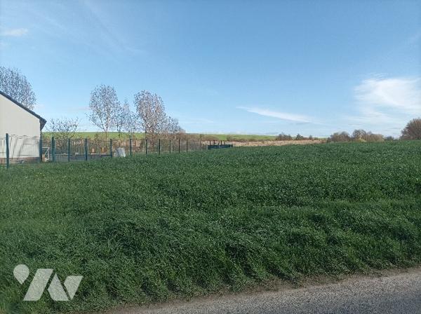 A VENDRE 4 TERRAINS A BATIR, de 1100 m²,  1265 m², 1216 m² et 1244 m², A PRECISER APRES BORNAGE.
