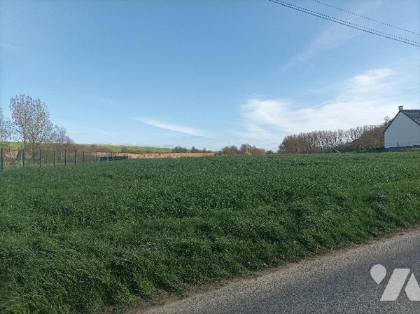 A VENDRE 4 TERRAINS A BATIR, de 1100 m²,  1265 m², 1216 m² et 1244 m², A PRECISER APRES BORNAGE.